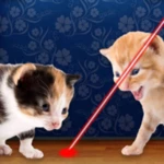 Logo of Laser Pointer for Cat android Application 